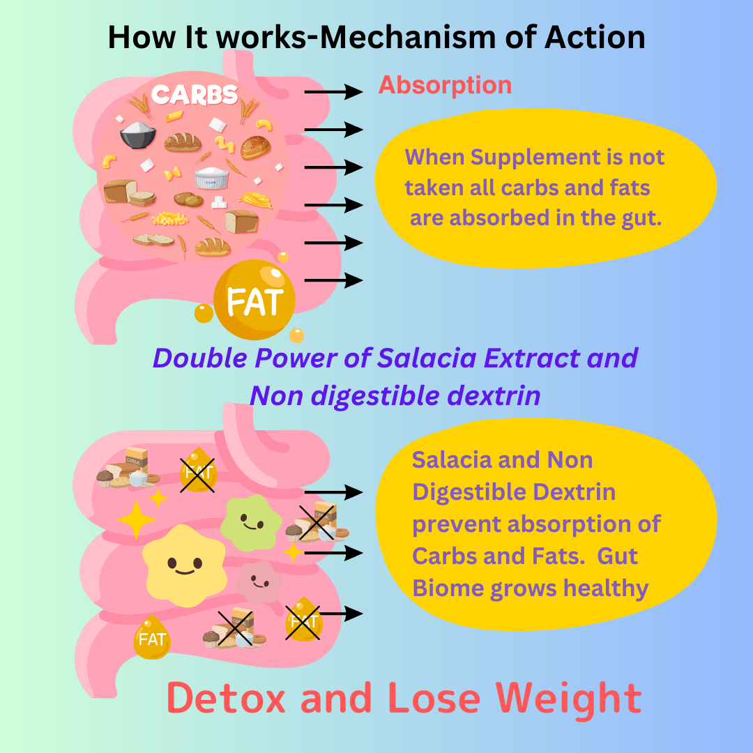 Action of Salacia and Dextrin in preventing absorption of Carbs and Fats. Detox and Lose weight