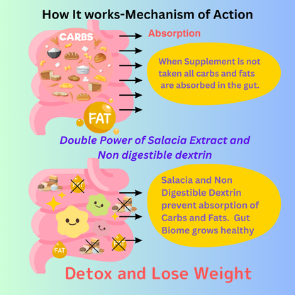 Action of Salacia and Dextrin in preventing absorption of Carbs and Fats. Detox and Lose weight