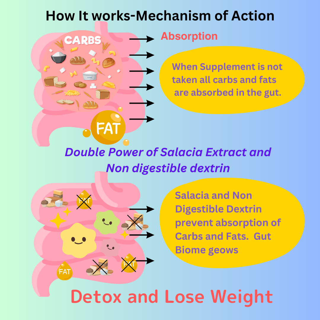 Action of Salacia and Dextrin